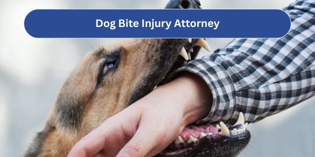 Dog Bite Injury Attorney